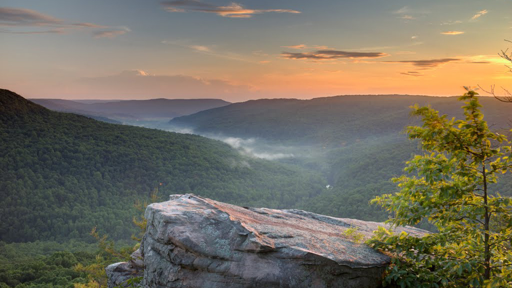 Bridgestone-Firestone Centennial Wilderness