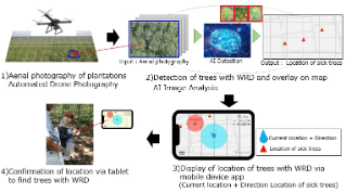 High-precision Para rubber tree disease diagnosis technology that utilizes AI image diagnoses and drone photography