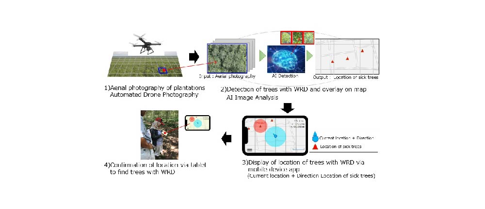 High-precision Para rubber tree disease diagnosis technology  that utilizes AI image diagnoses and drone photography