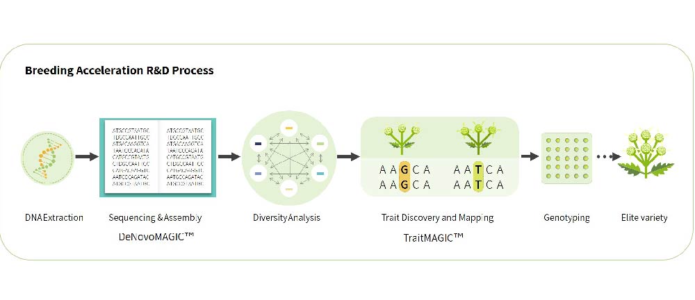 Breeding Acceleration R&D Process