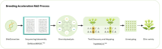 Breeding Acceleration R&D Process