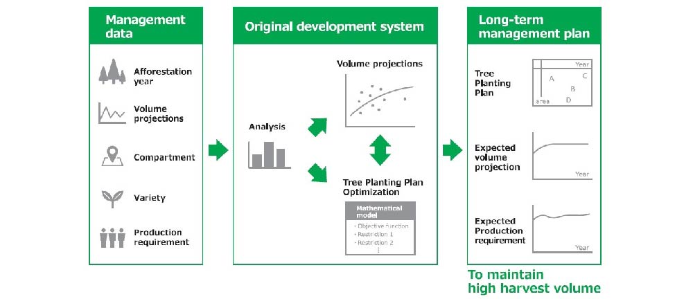 Para rubber  proliferation technology chart