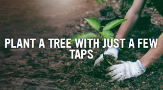 Download the App with Just a few Taps planting a tree photo