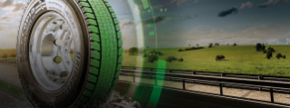A tire